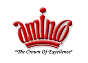 Aminco logo - ERP Case Studies